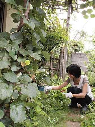 お庭の虫よけ対策 リフォーム リノベーションの専門店 リノスタ